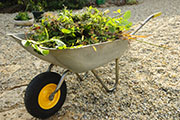 Garden Waste for the Skip Bin